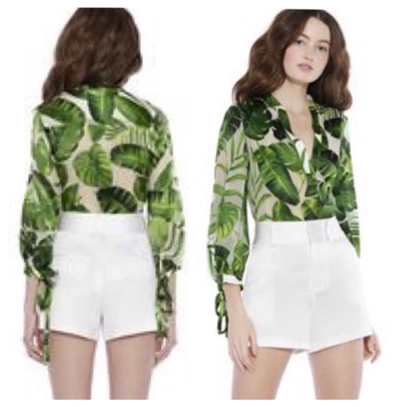 Alice + Olivia Tops - ALICE + OLIVIA Sheila Blouson Sleeve Henley Top